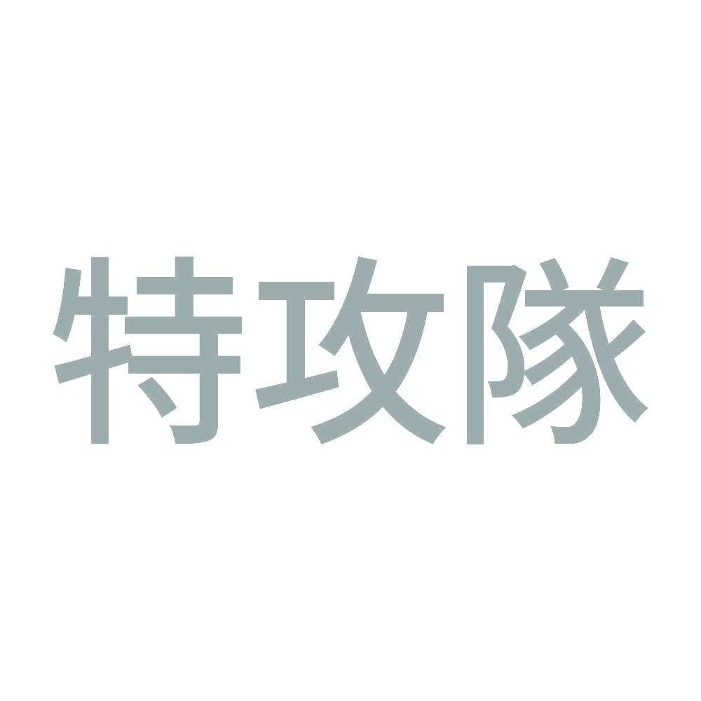 特攻隊 10