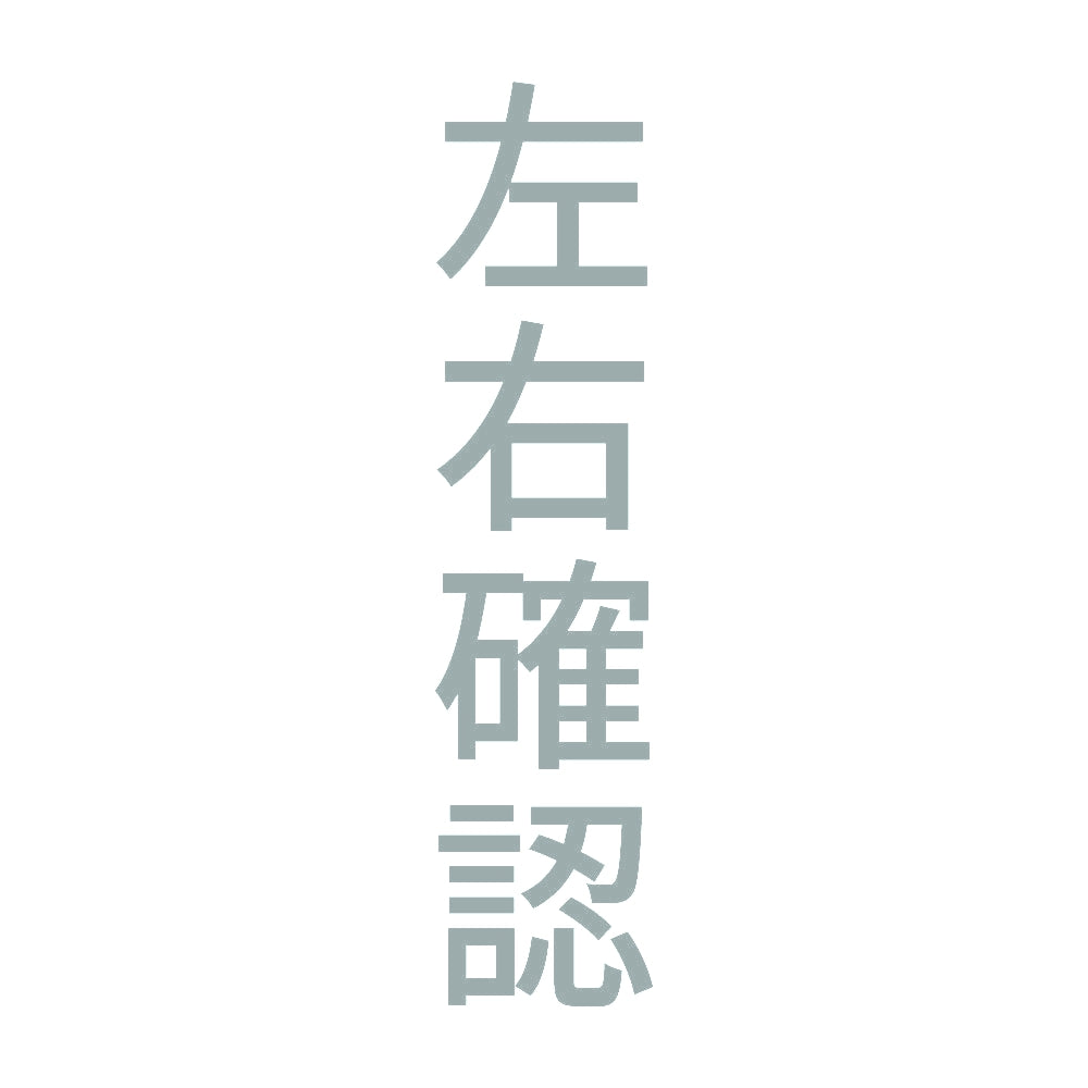 左右確認 縦 10