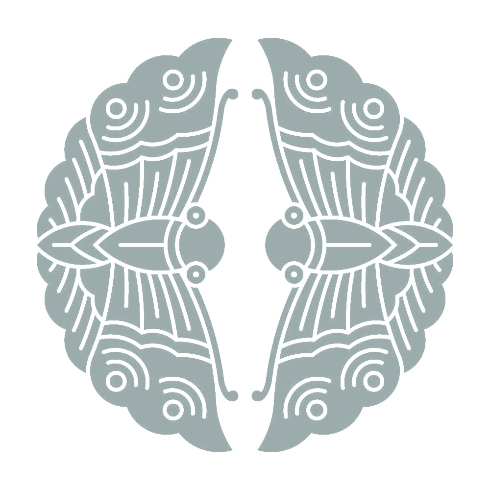 対い蝶紋 10