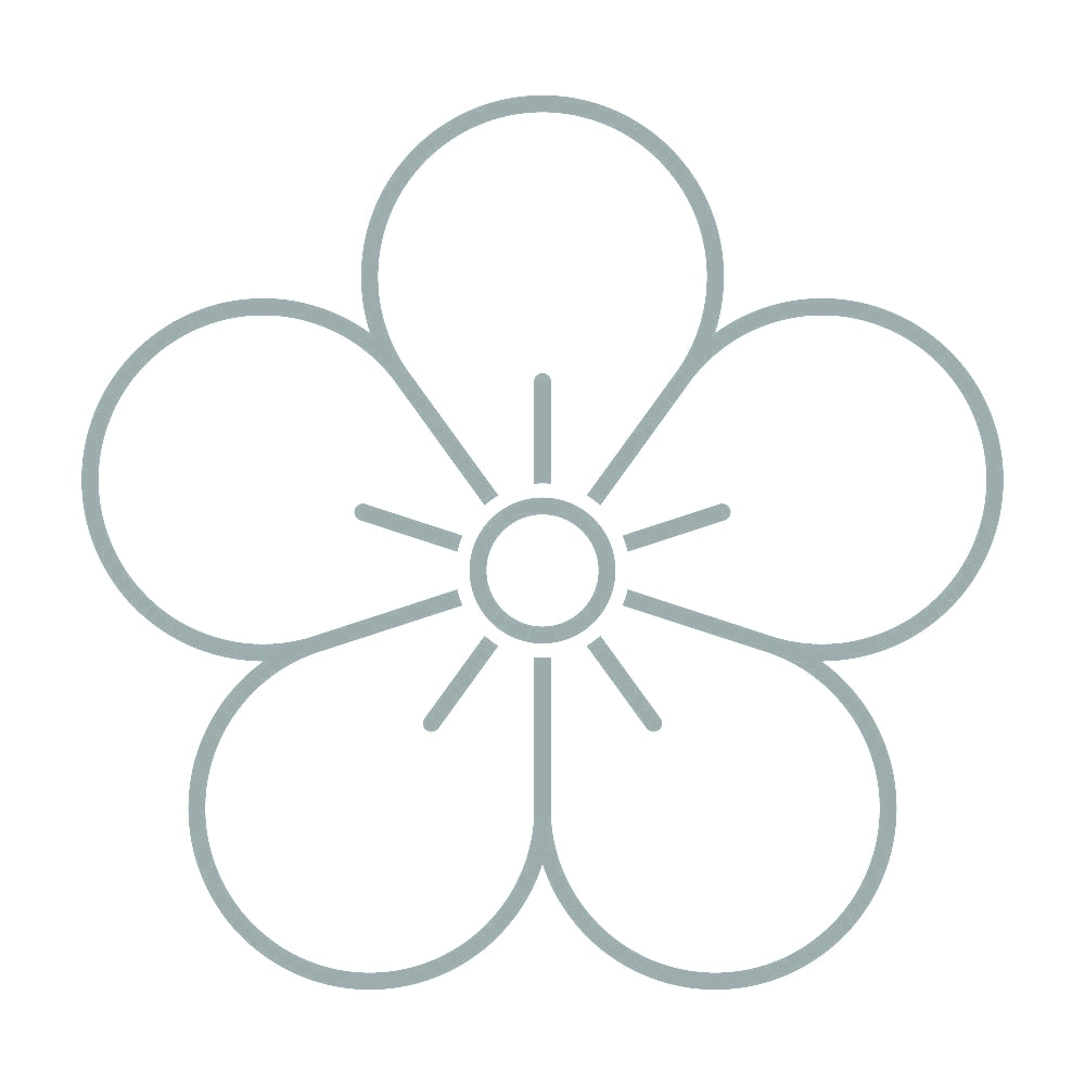 陰梅の花紋 10