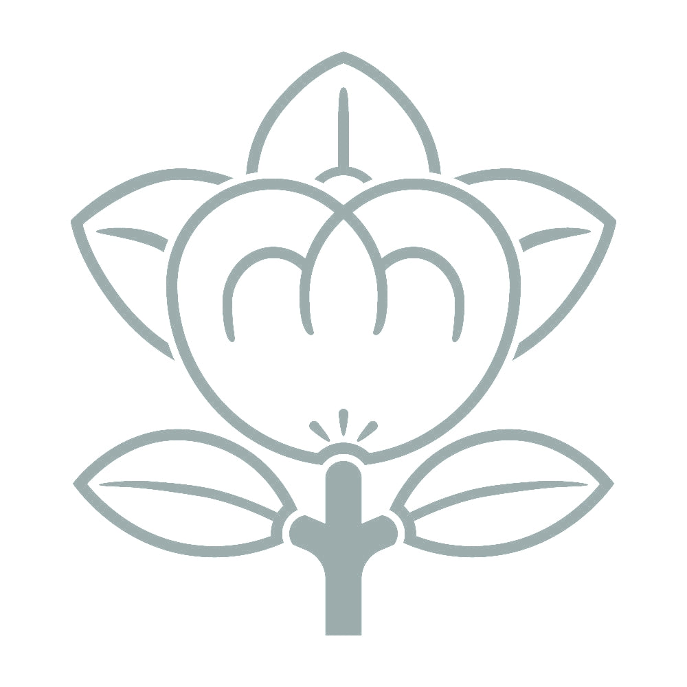 陰橘紋 10