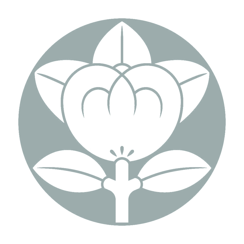 石持ち地抜き橘紋 10