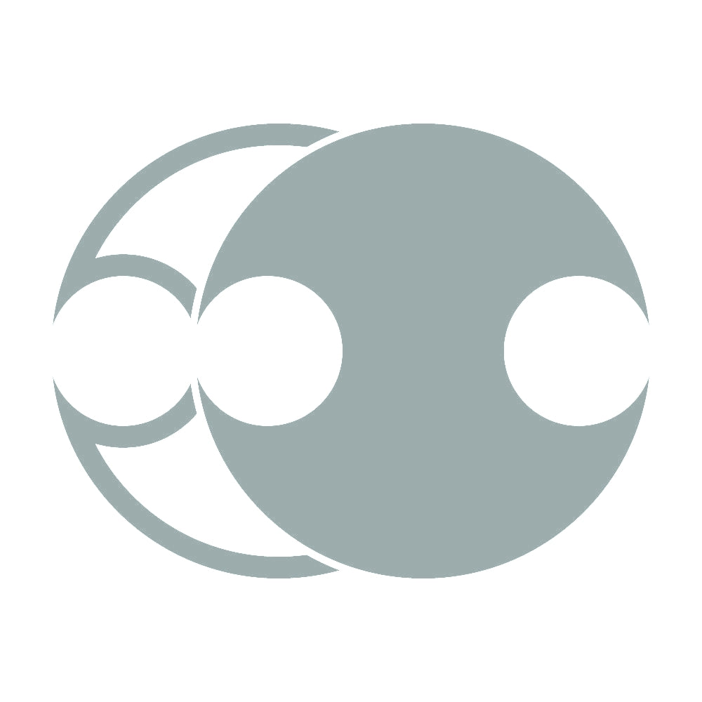 陰陽分銅紋 10