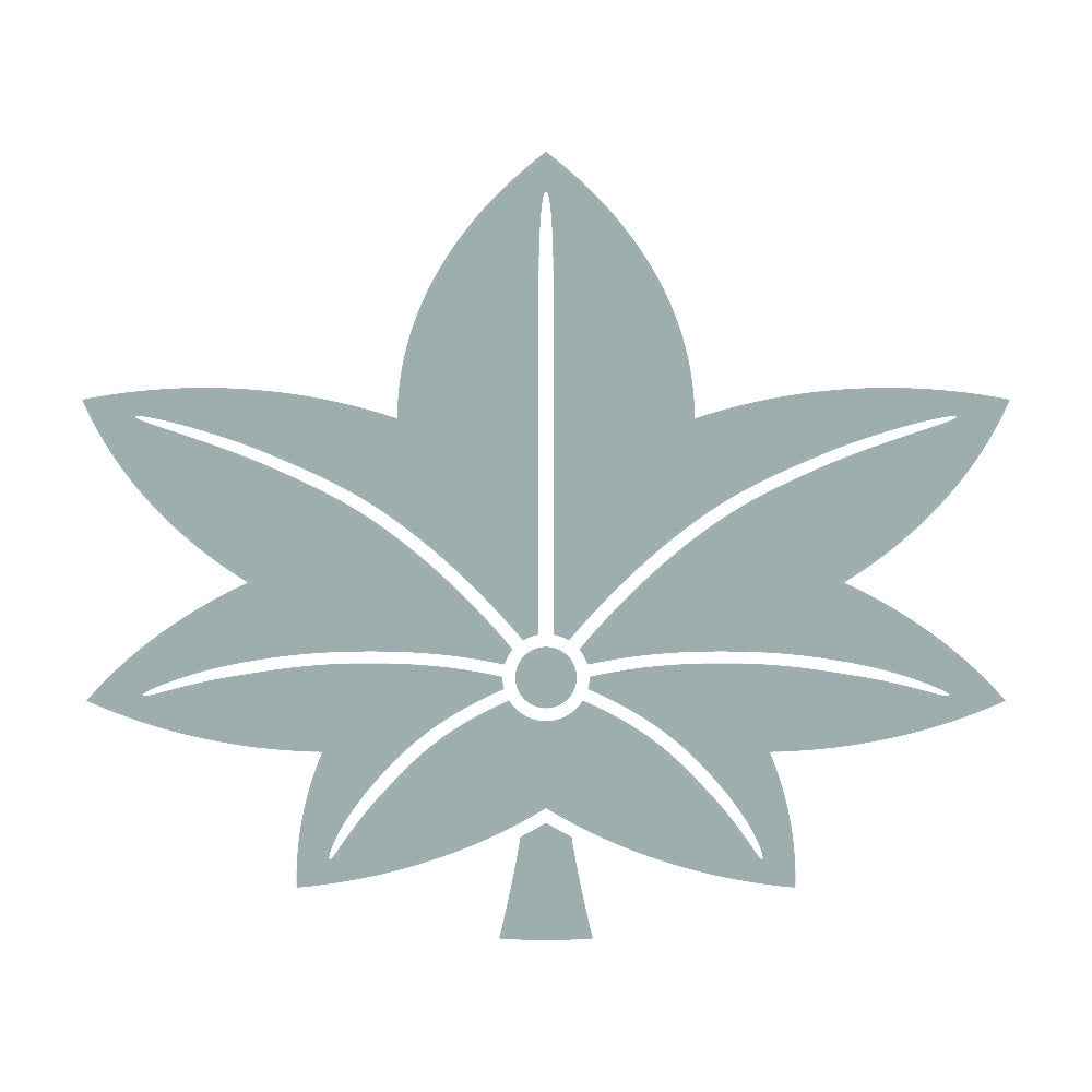 菱楓紋 10