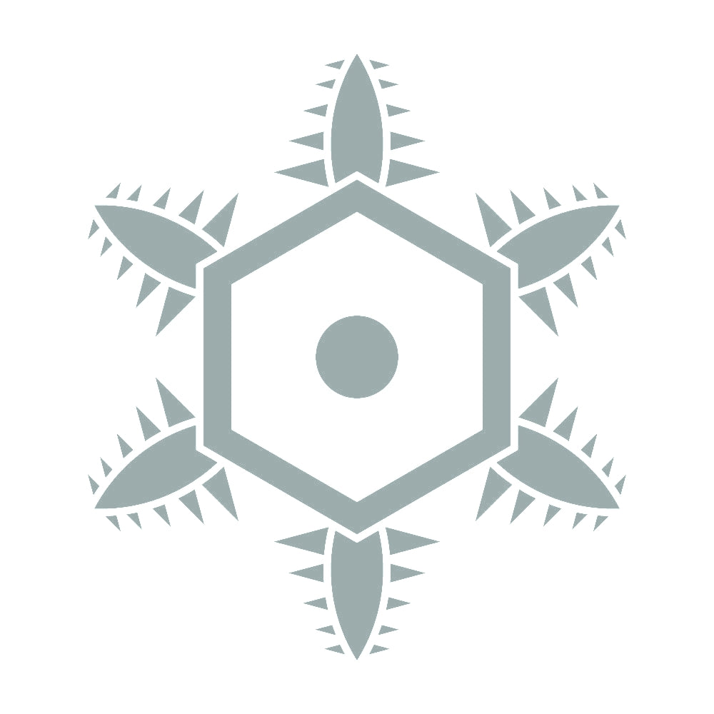 山雪紋 10