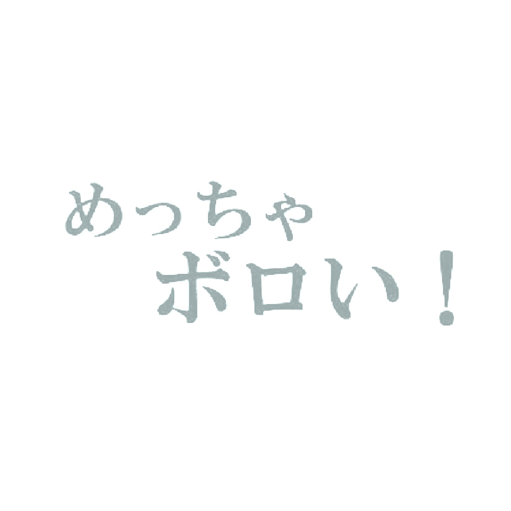 めっちゃボロい!