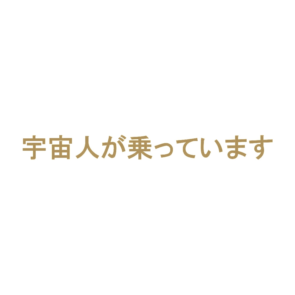宇宙人が乗っています