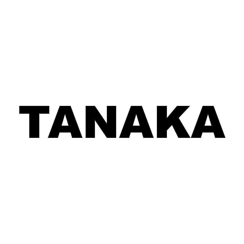 ぺた本舗】カッティングステッカー TANAKA サイズ選択可能