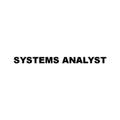 SYSTEMS ANALYST