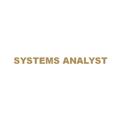 SYSTEMS ANALYST