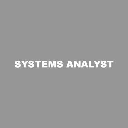 SYSTEMS ANALYST