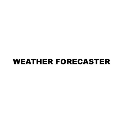 WEATHER FORECASTER