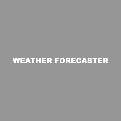 WEATHER FORECASTER
