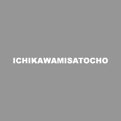 ICHIKAWAMISATOCHO