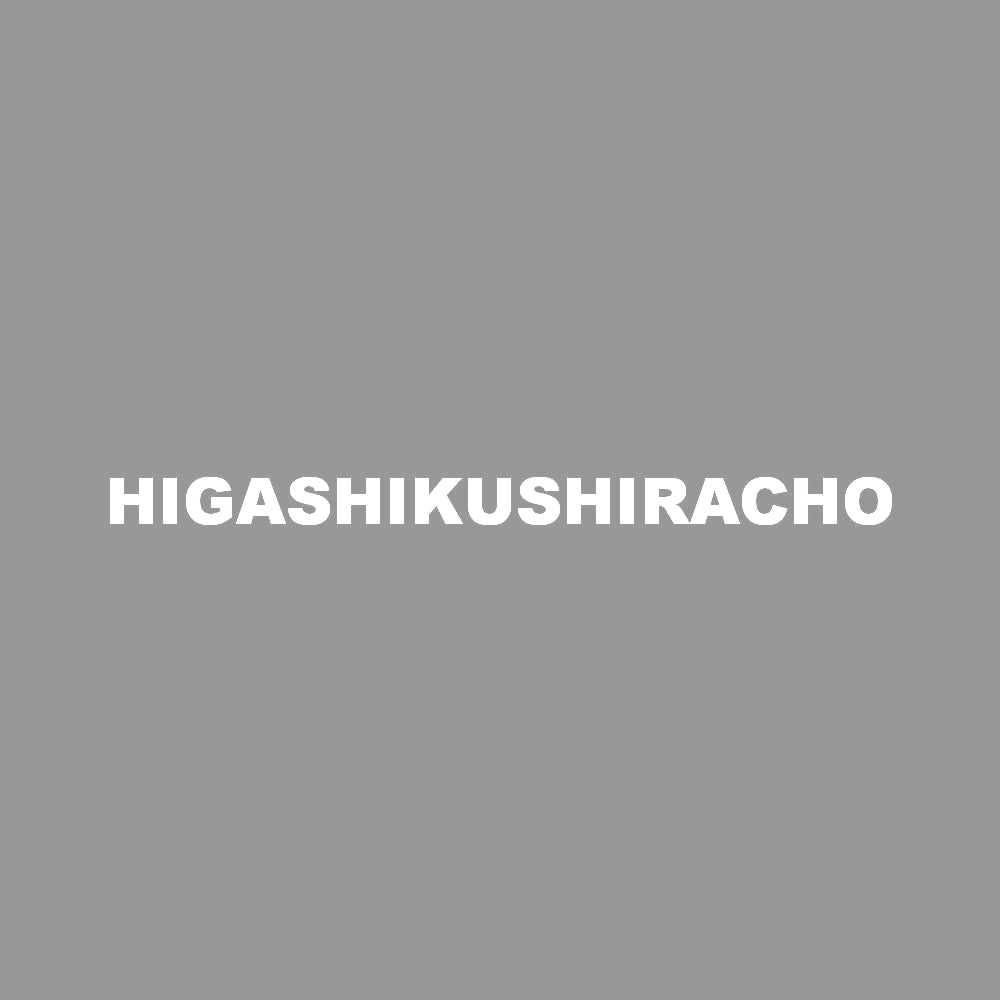 HIGASHIKUSHIRACHO