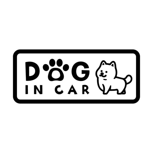 DOG IN CAR (A)