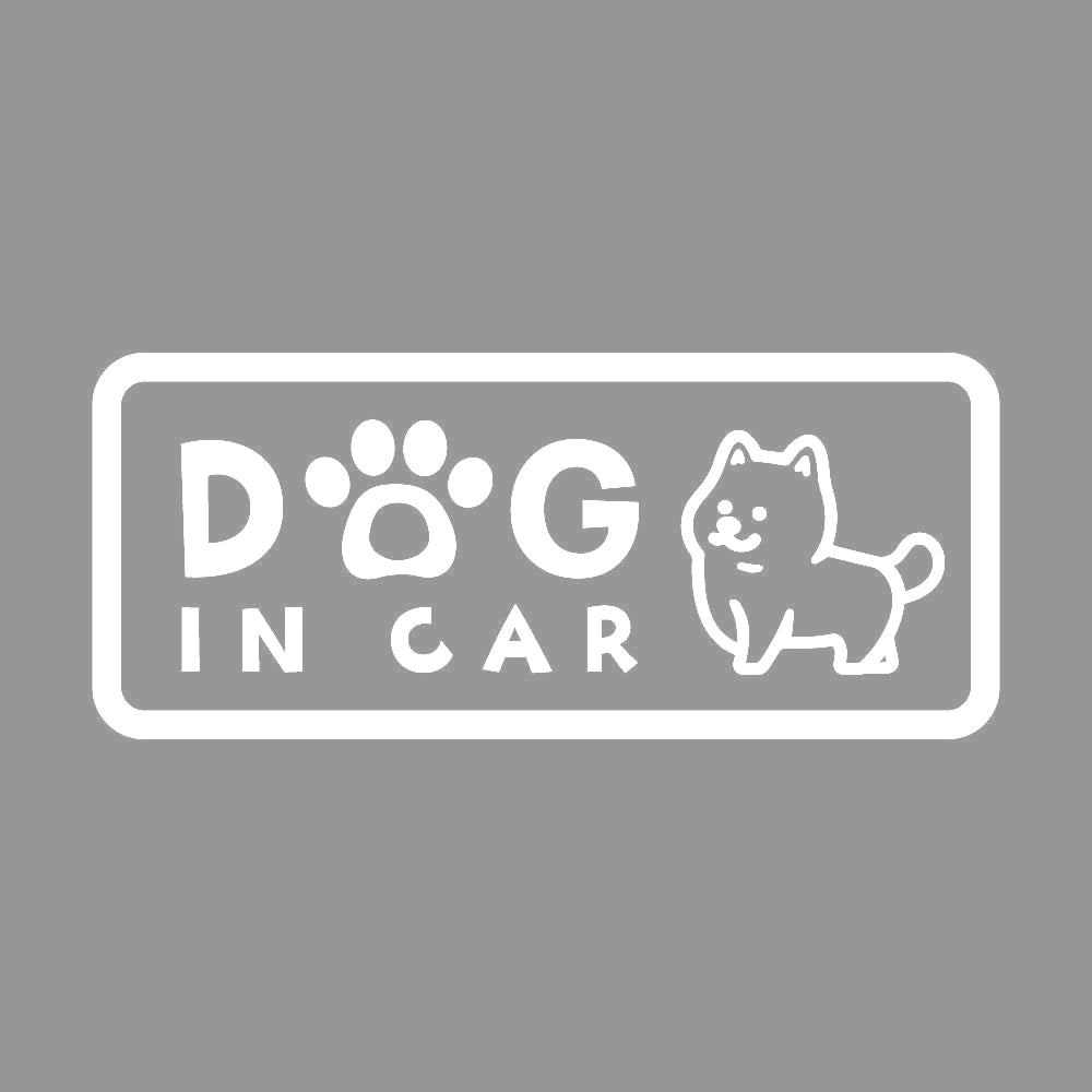 DOG IN CAR (A)