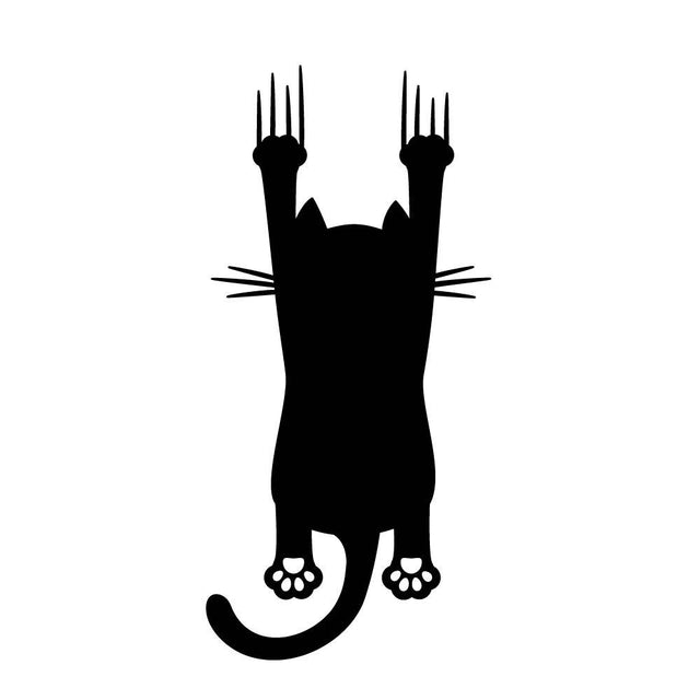 ずり落ちる猫 (B)