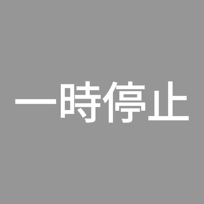 一時停止 (A)
