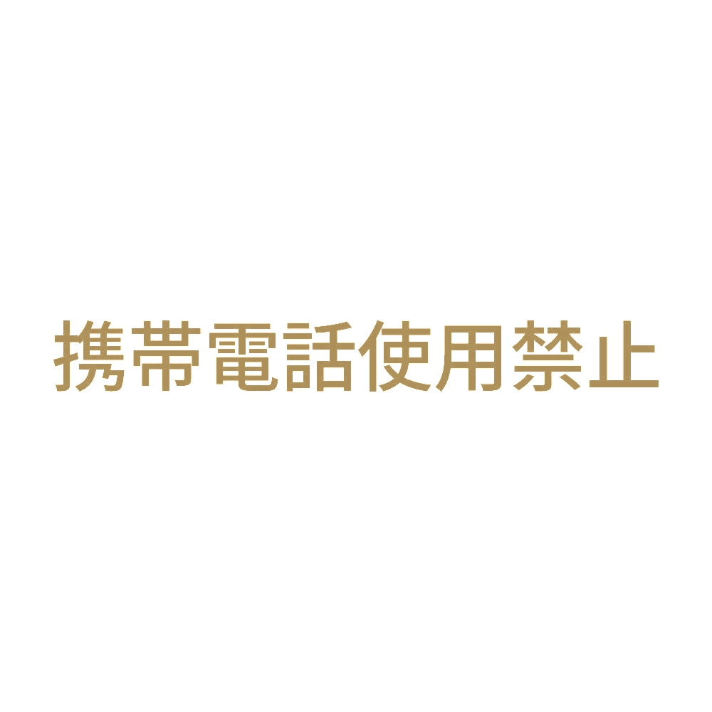携帯電話使用禁止 (A)