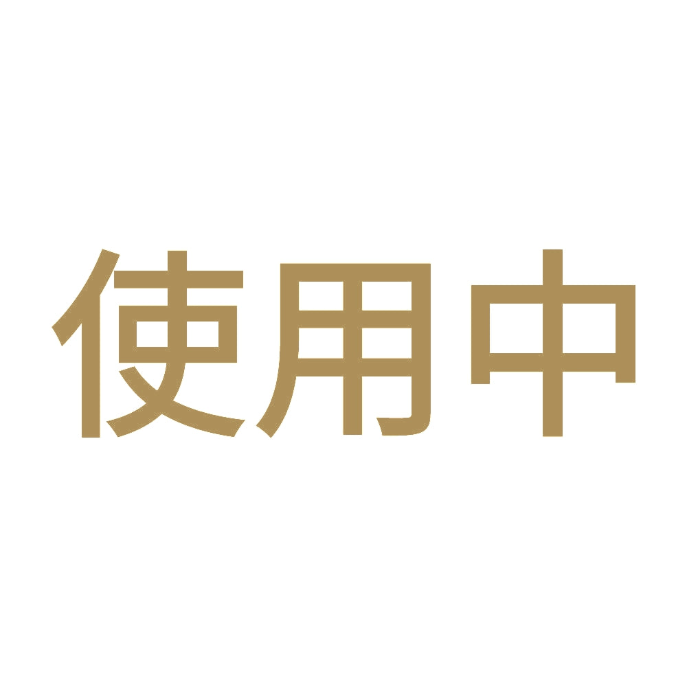 使用中 (A)