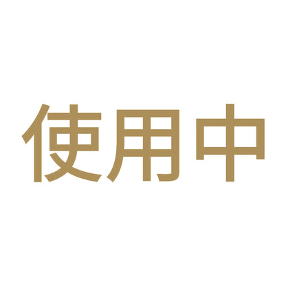 使用中 (A)