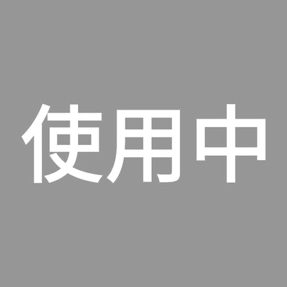 使用中 (A)