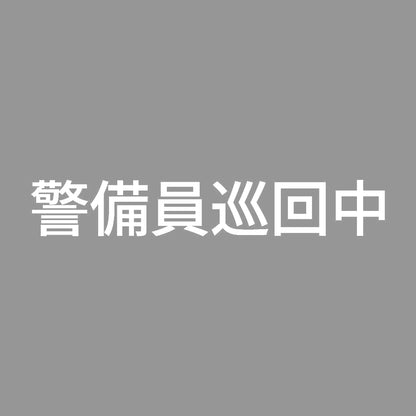 警備員巡回中 (A)