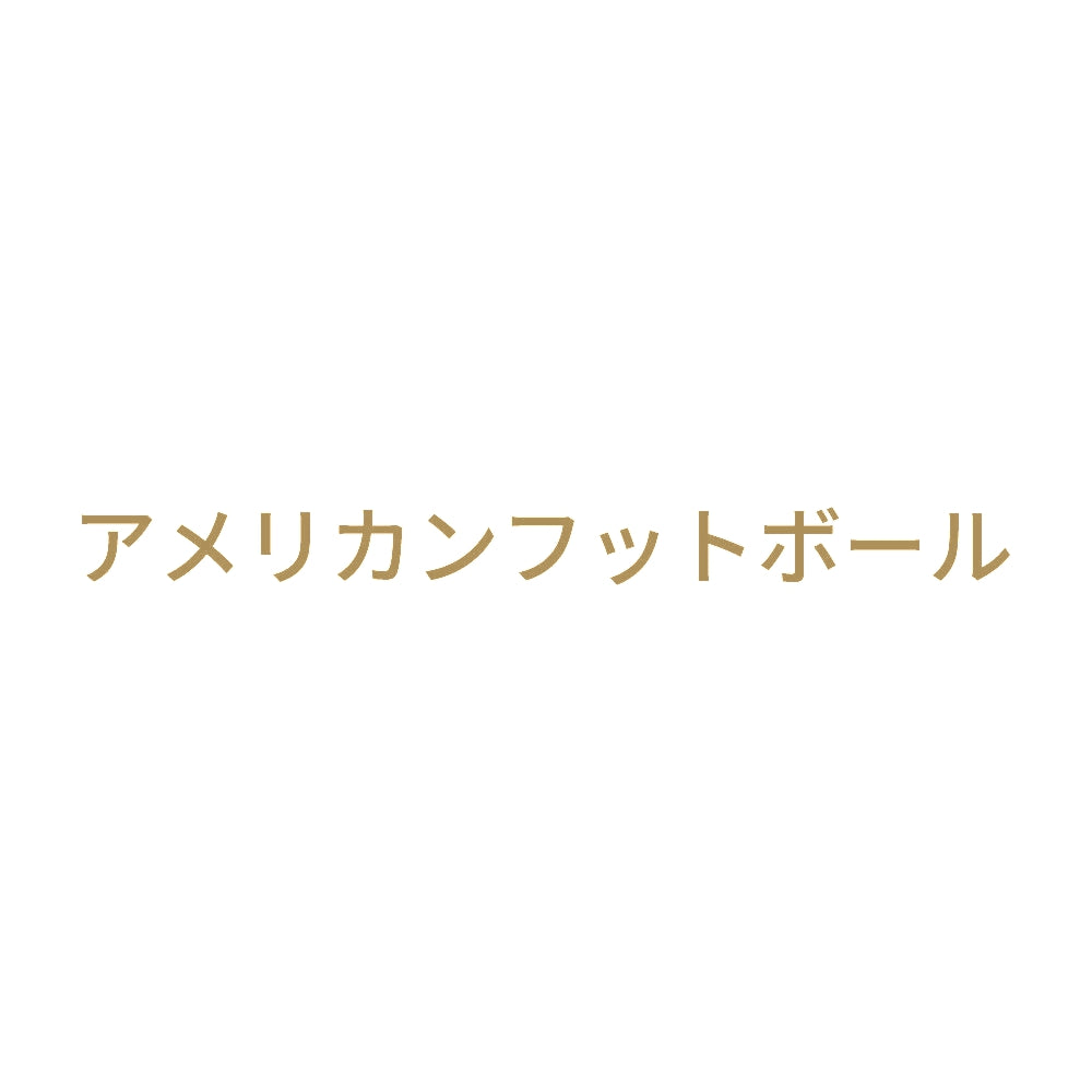アメリカンフットボール