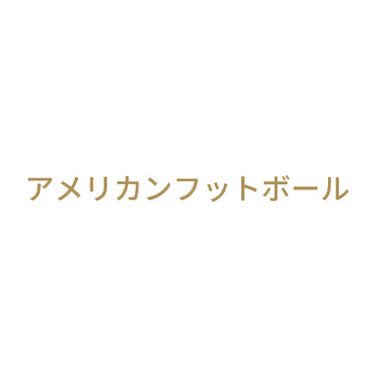 アメリカンフットボール