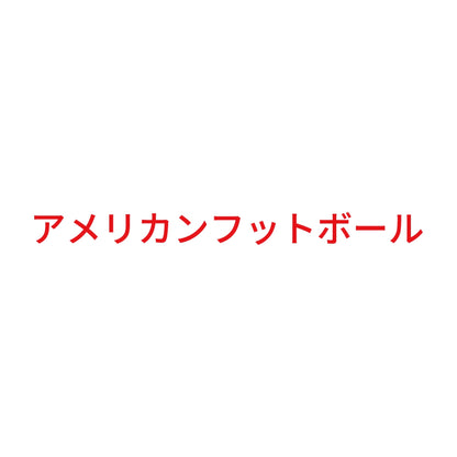 アメリカンフットボール