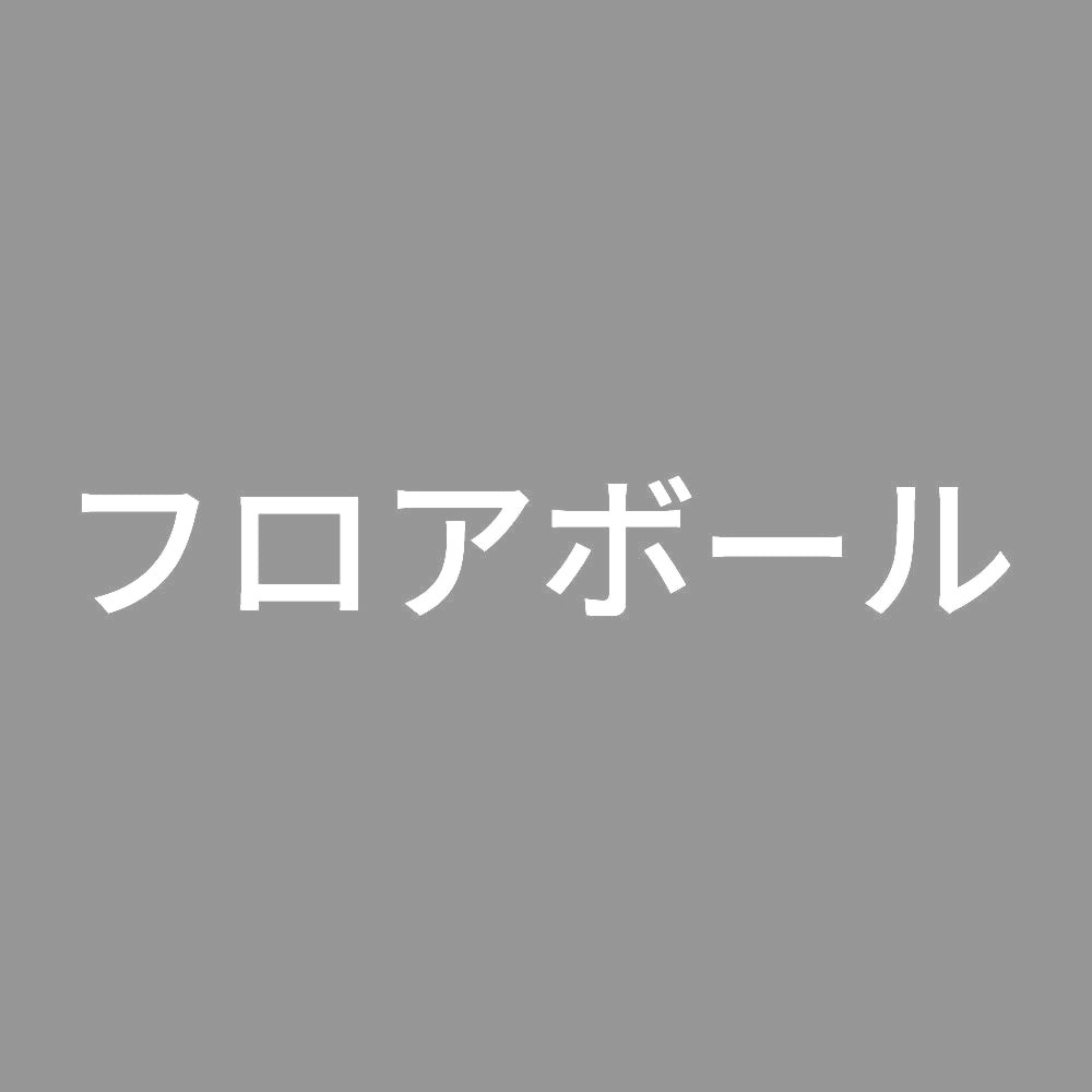 フロアボール
