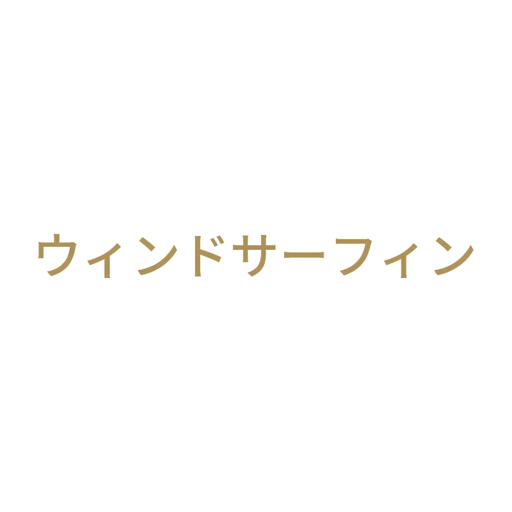 ウィンドサーフィン