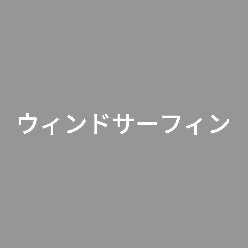 ウィンドサーフィン