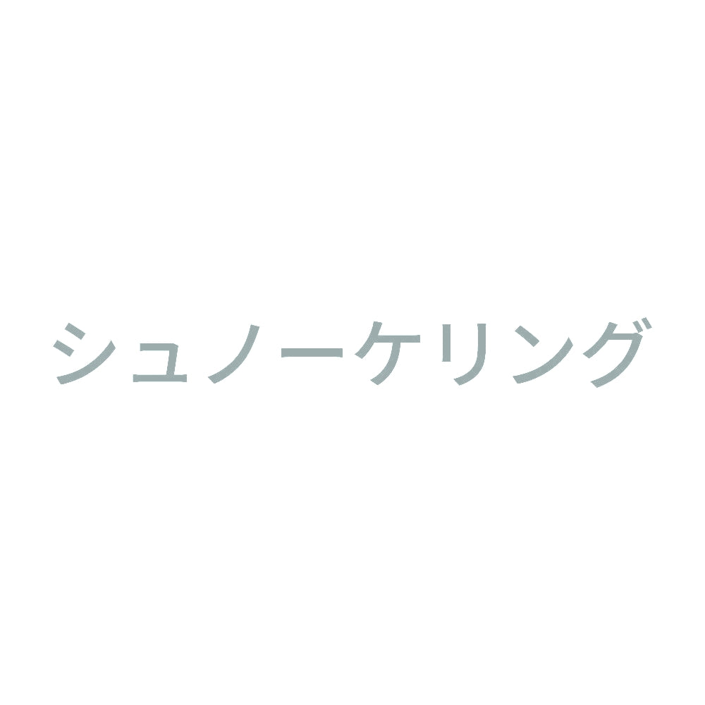 シュノーケリング