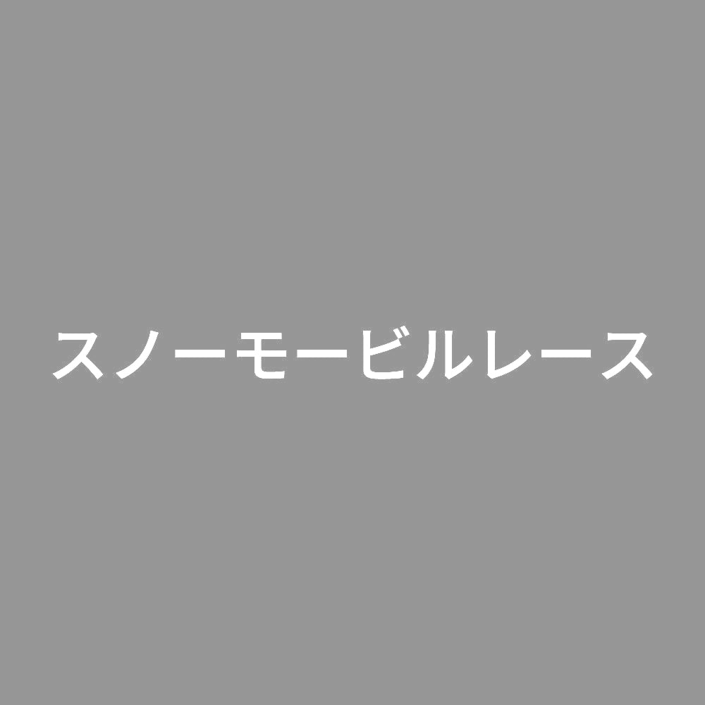 スノーモービルレース
