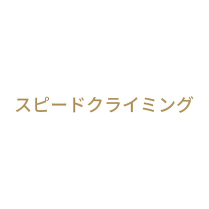 スピードクライミング