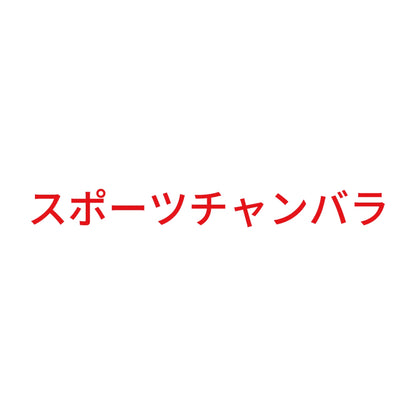 スポーツチャンバラ