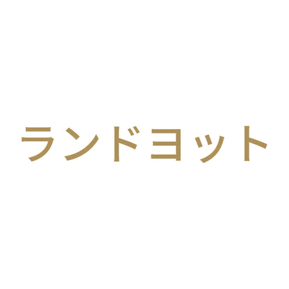 ランドヨット