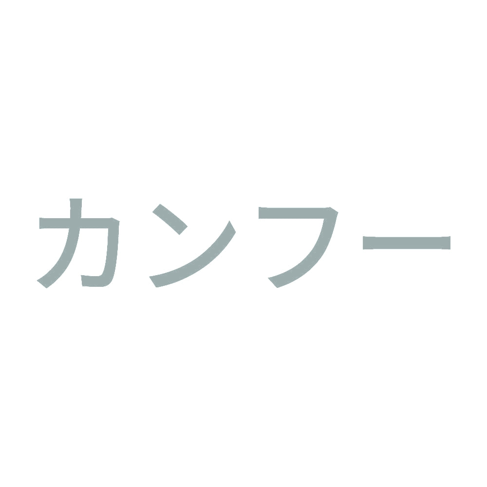 カンフー