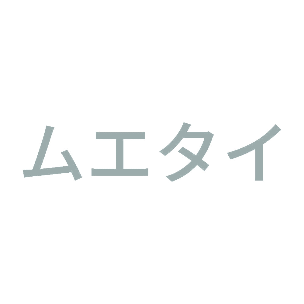 ムエタイ