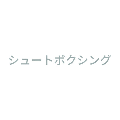 シュートボクシング