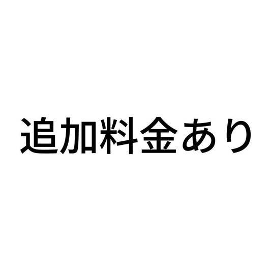 追加料金あり