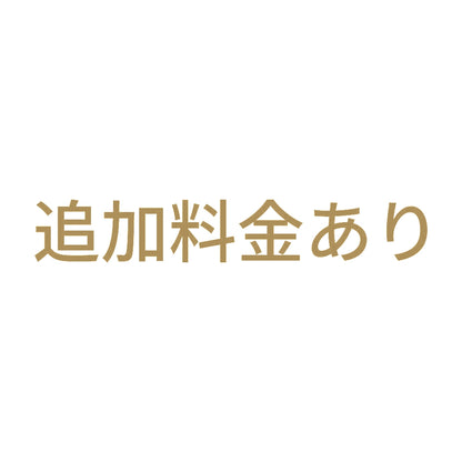 追加料金あり
