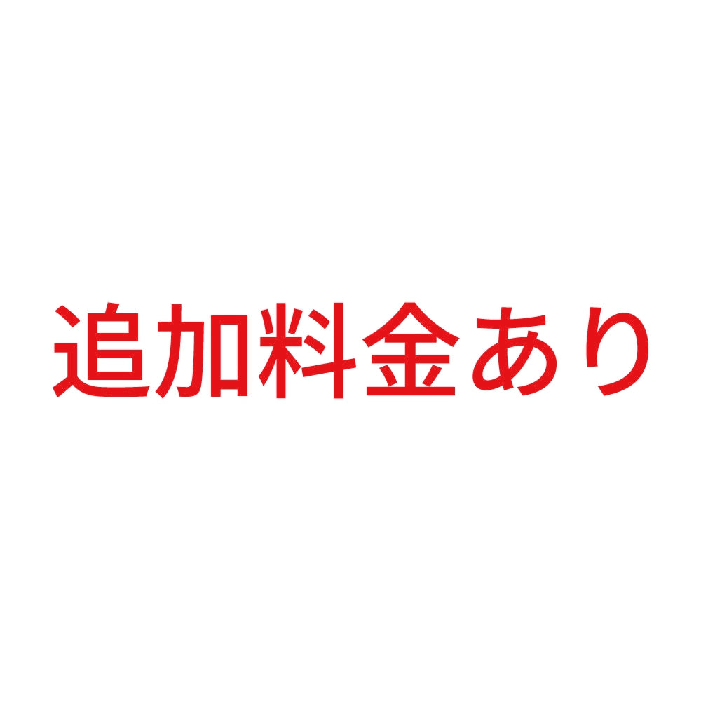 追加料金あり