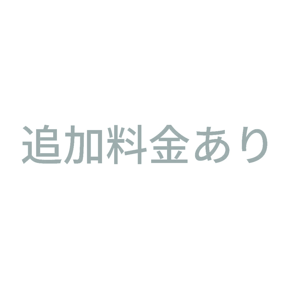 追加料金あり