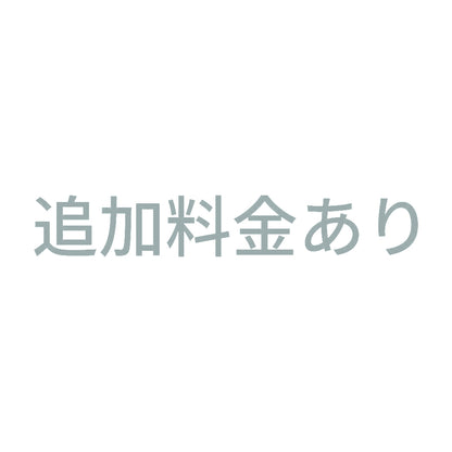 追加料金あり