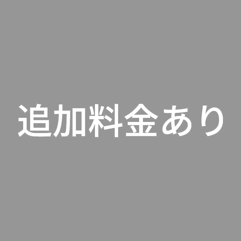 追加料金あり