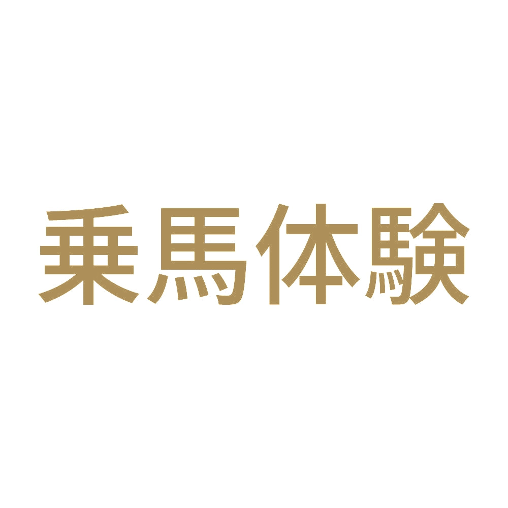 乗馬体験