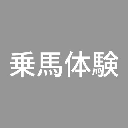 乗馬体験